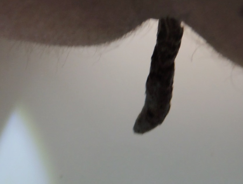 Click to play video Min sisters poo coming out of her ass