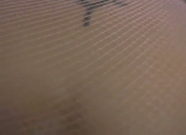Click to play video KV VID (42)