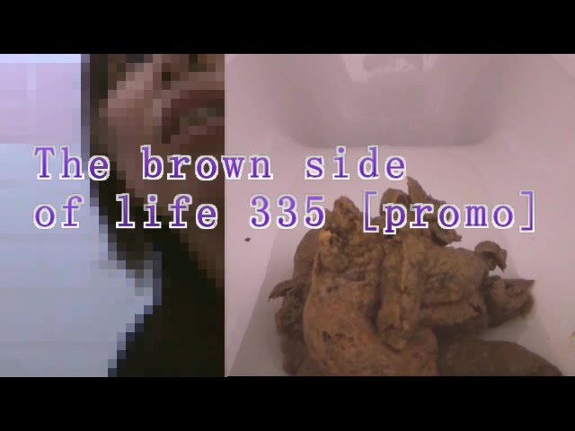 Click to play video The brown side of life 335
