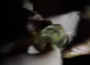 Click to play video Merda e sborra