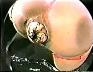 Click to play video Popo club 7