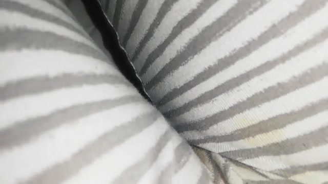 Click to play video Pants messing in bed