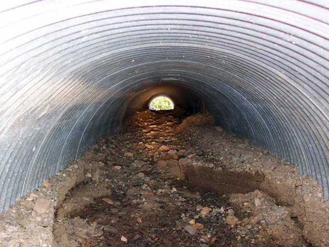 Click to play video CULVERT SCAT