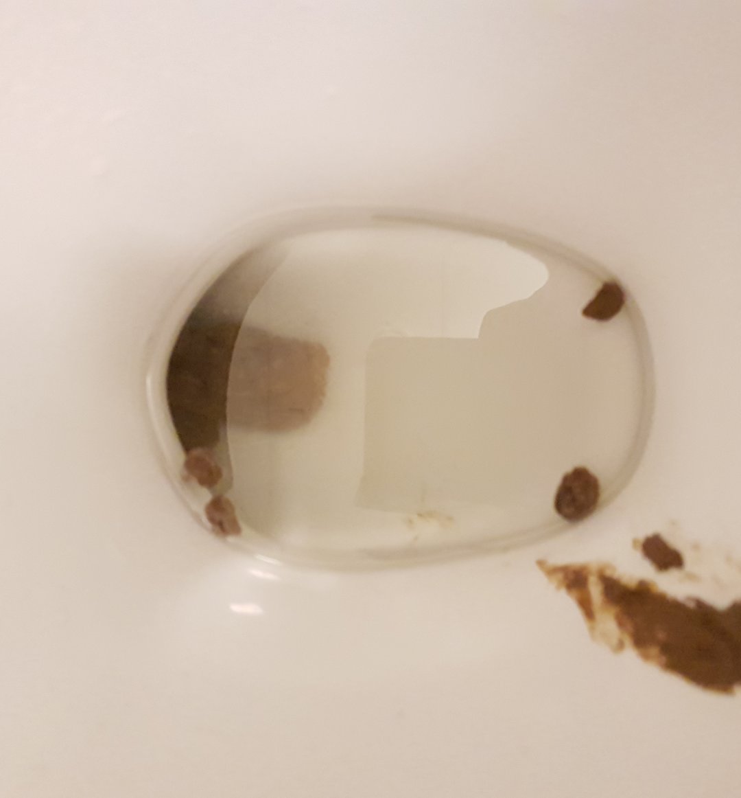 Click to play video Pooping at work again. 